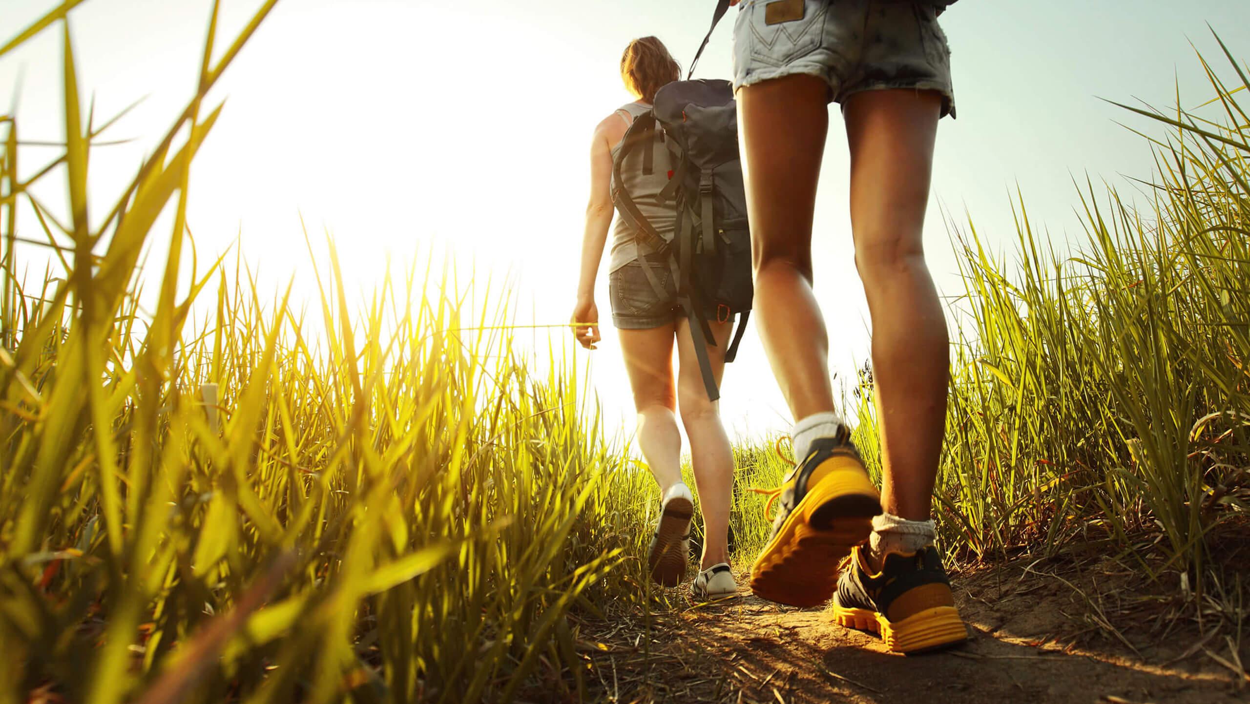 Caminhadas e Conexão com a Natureza: Uma Experiência Revigorante – Mergulhe!